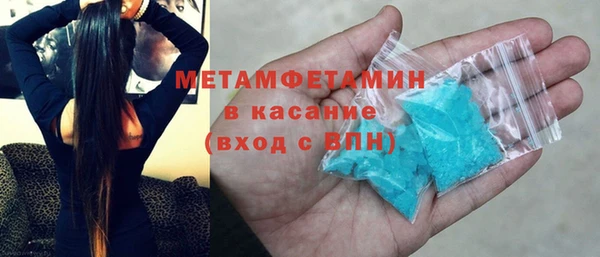 прущие грибы Вяземский
