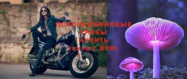 молекула духа Алзамай