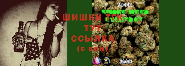 молекула духа Алзамай