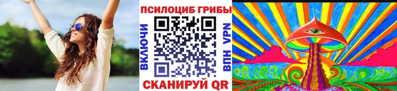 Псилоцибиновые грибы MAGIC MUSHROOMS  mega онион  Малаховка 